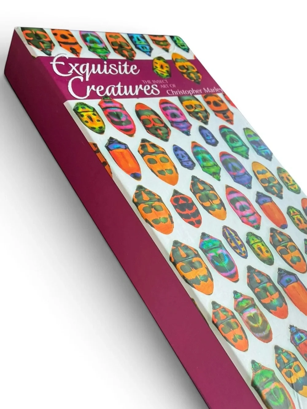 Christopher Marley Exquisite Creatures Panoramic Boxed Notecards Pomegranate